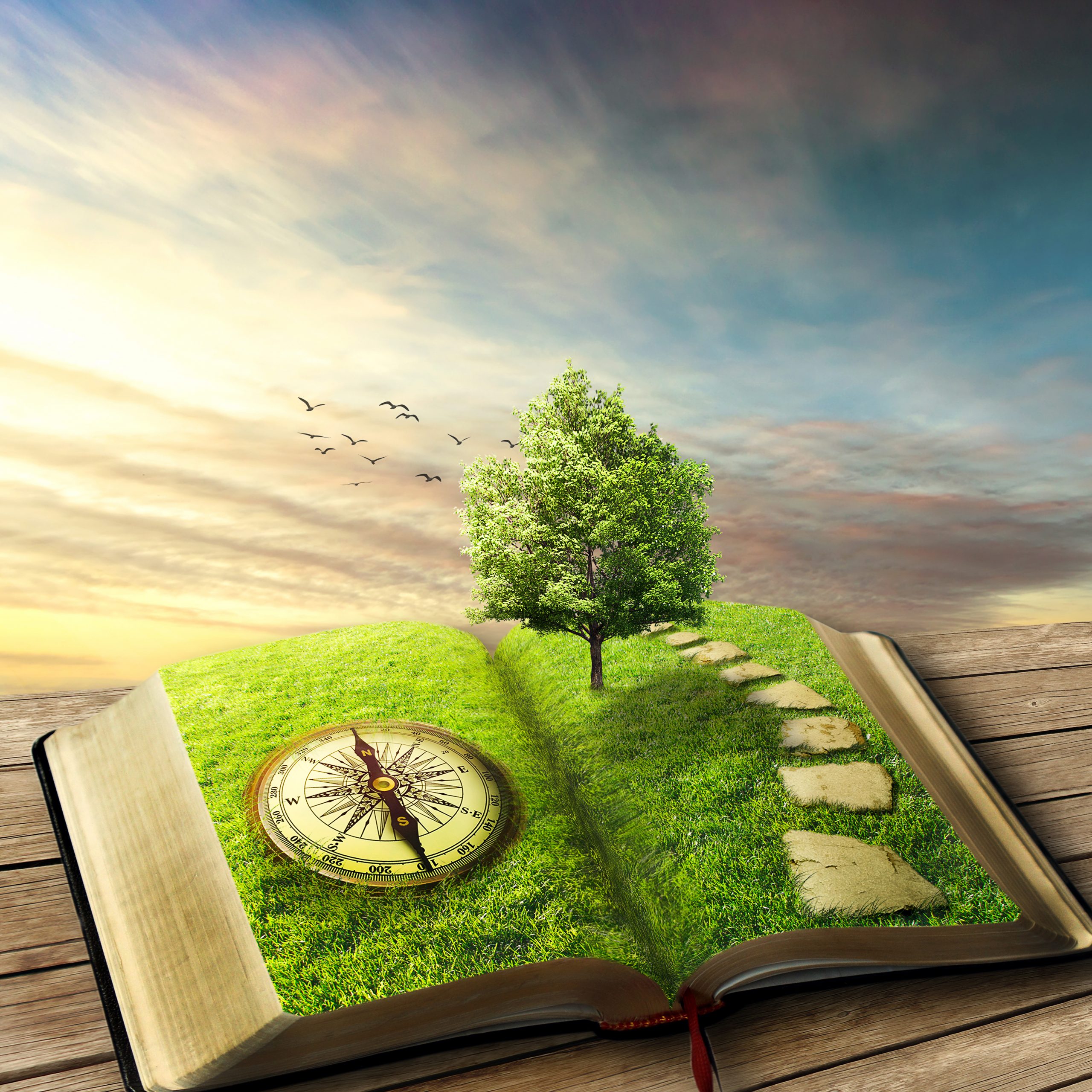 2-LIVRE-OUVERT-BOUSSOLE-ARBRE-MA-DEMARCHE-